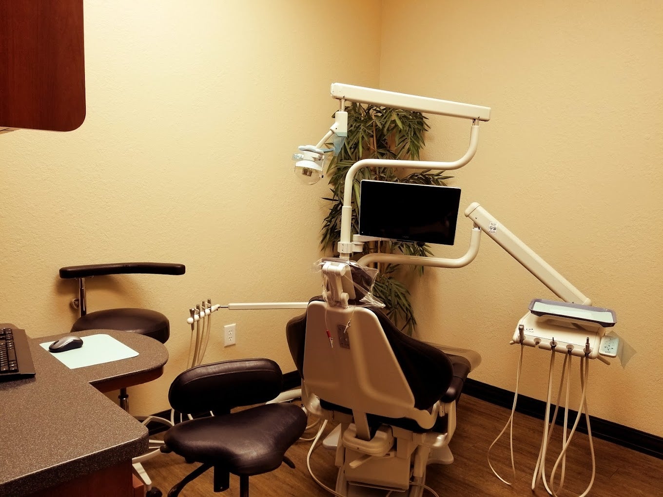 Palm Harbor Premier Dental Top Rated Palm Harbor Dentist