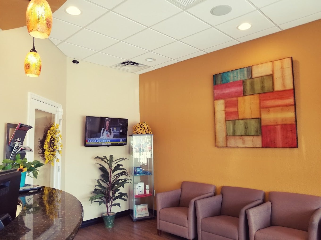 Palm Harbor Premier Dental Top Rated Palm Harbor Dentist